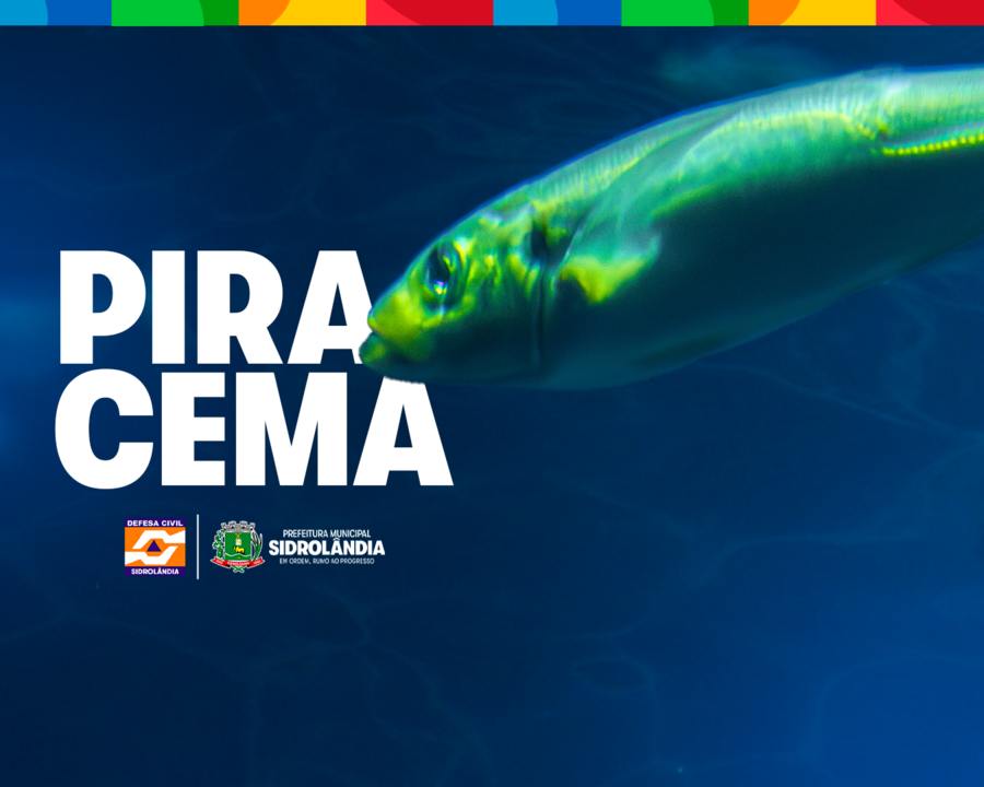 Left or right site 6 