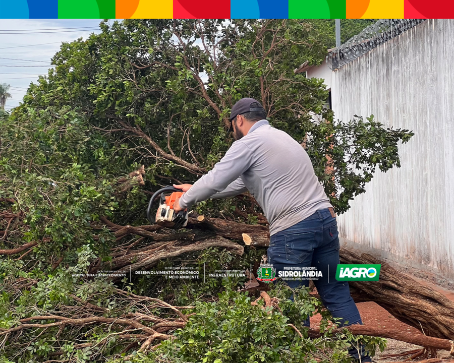 Left or right site 1 