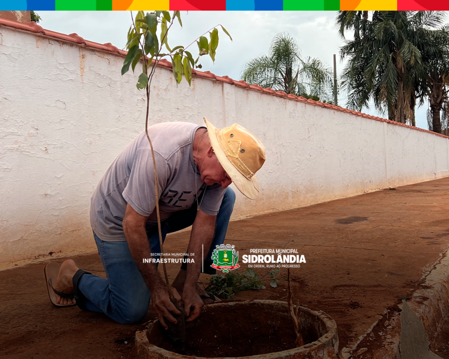 Left or right site 4 