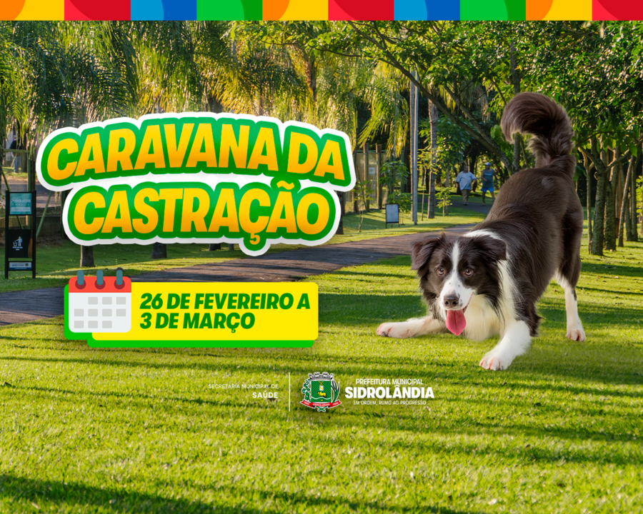 Caravana da Castração: confira as orientações para os atendimentos em Sidrolândia