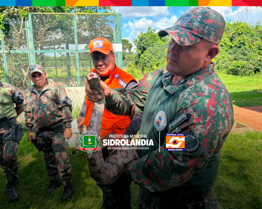 Treinamento fortalece atuação da Defesa Civil no resgate de animais silvestres