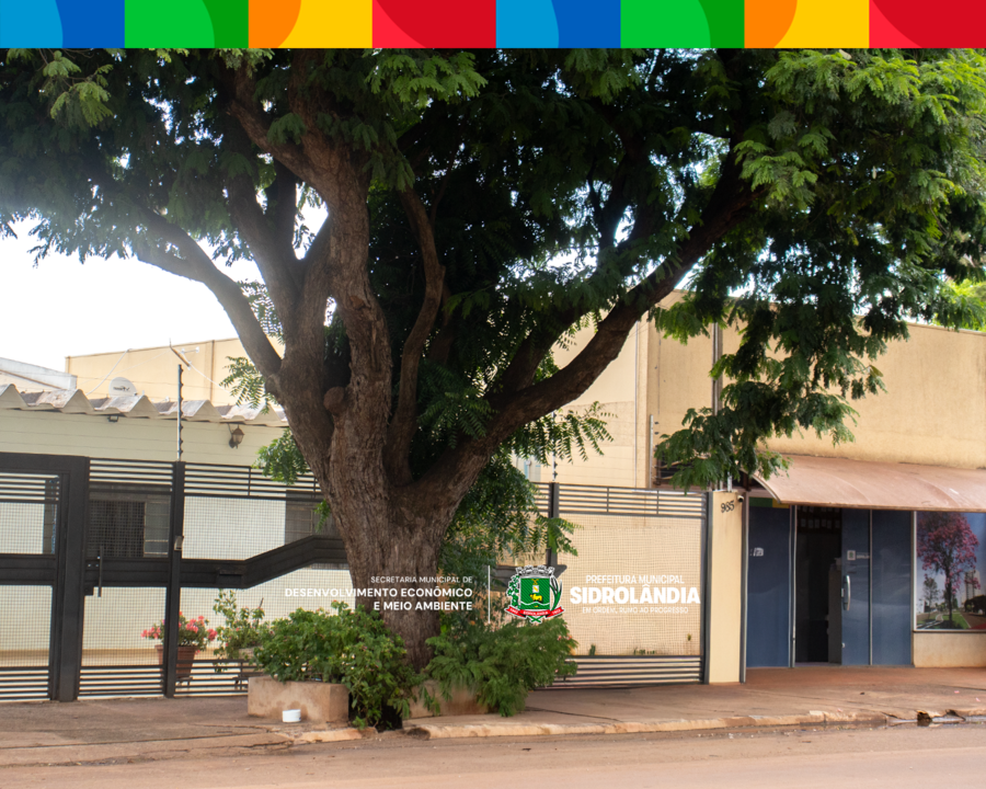 Vai podar ou retirar uma árvore? Saiba como solicitar a autorização em Sidrolândia