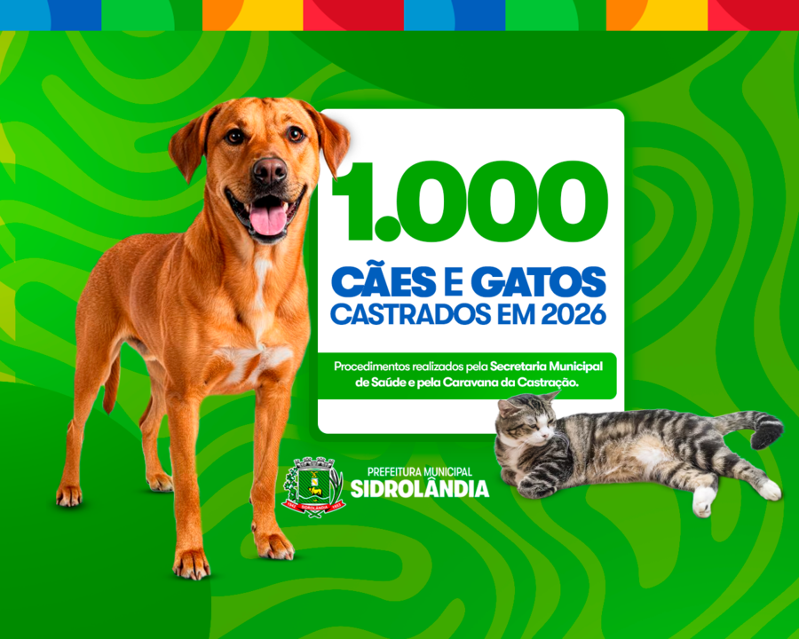 Sidrolândia registra 1.000 castrações de cães e gatos realizadas em 2026
