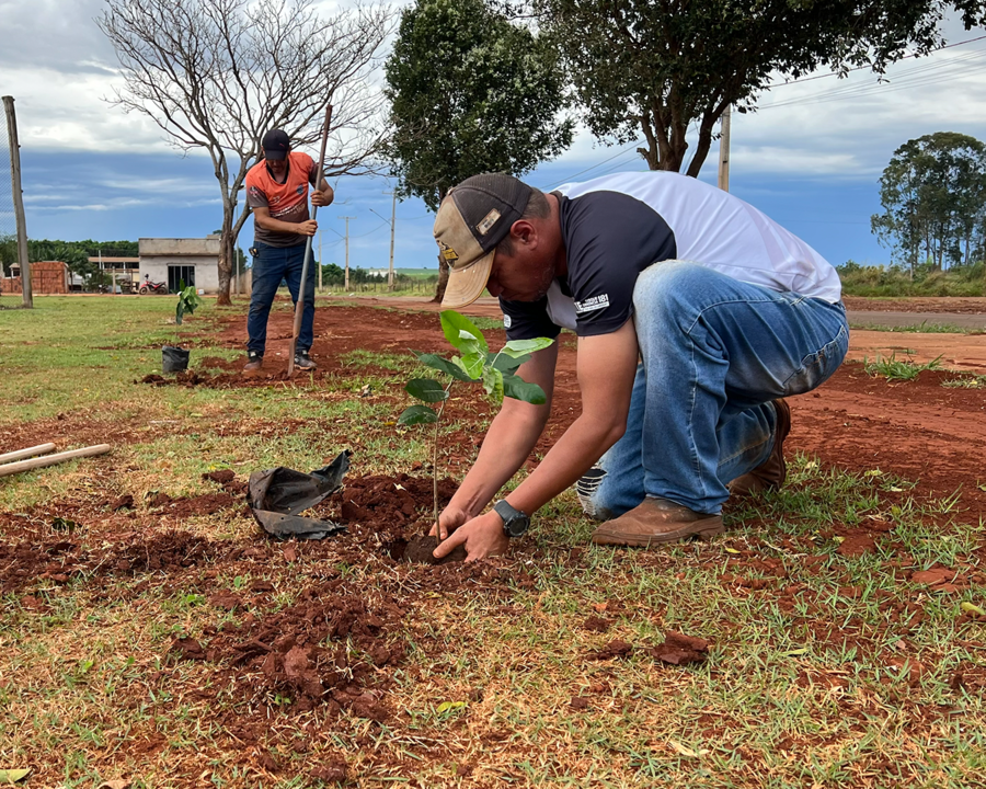  Praça Rubens Suckow recebe plantio de 30 mudas de árvores