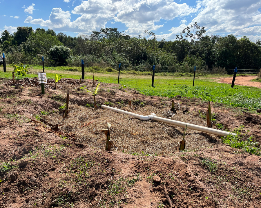 Água da cozinha ganha novo destino com Projeto Círculo de Bananeiras na Escola Municipal João Batista